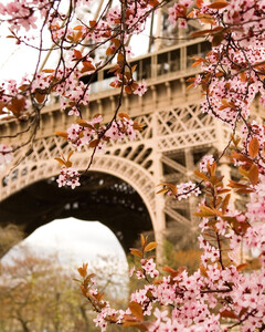 10 самых популярных туров на любой вкус